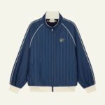 Jacket Detroit Bleu Pinstripes